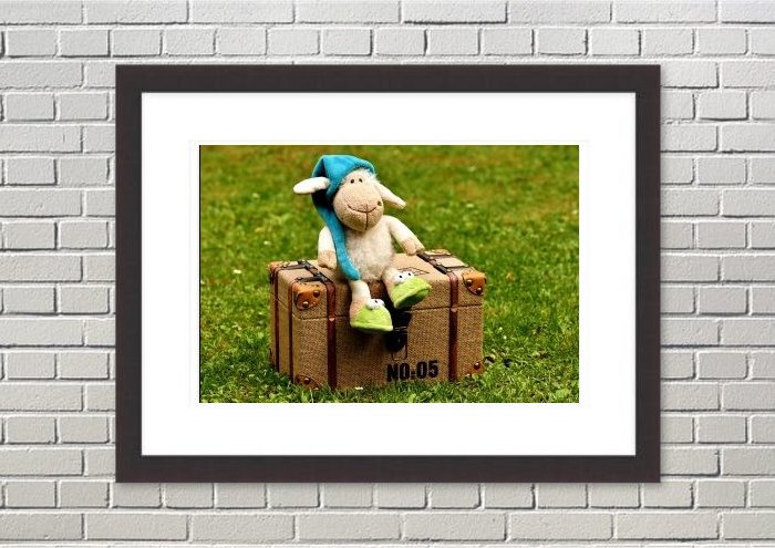 Framed Print